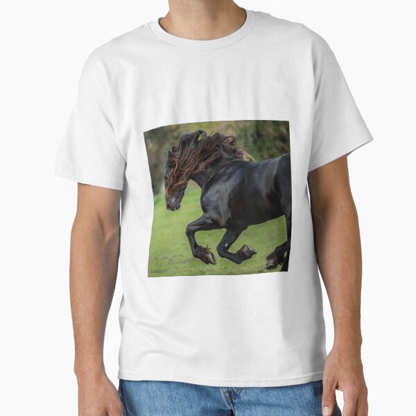The Friesian Experience - Beautiful Black Beauty Friesian Horses Classic T-Shirt