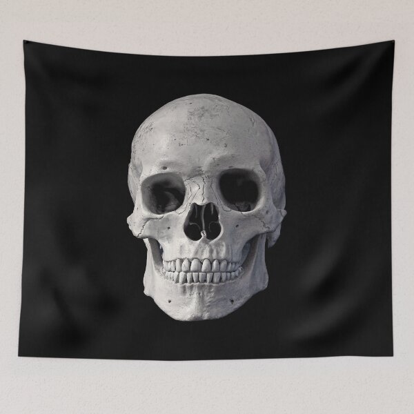 Aperçu de l'œuvre Skull, Skeleton créée et vendue par Sergey S.