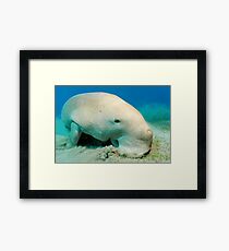 Duster Framed Print