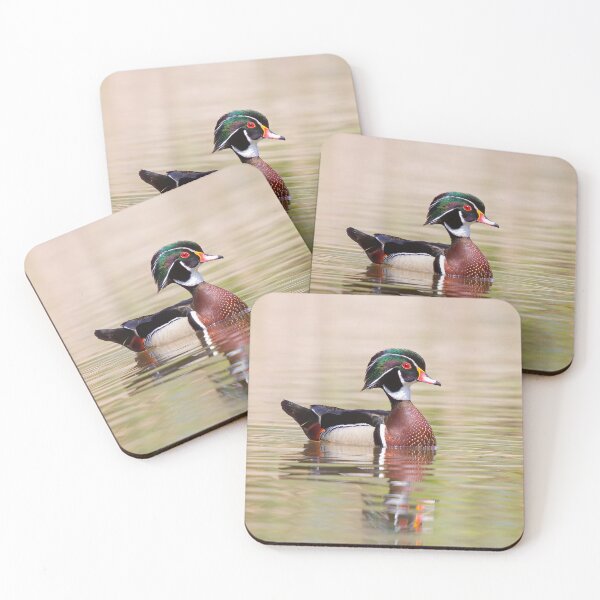 Item preview, Silky Waters - Wood Duck designed and sold by James Cumming.