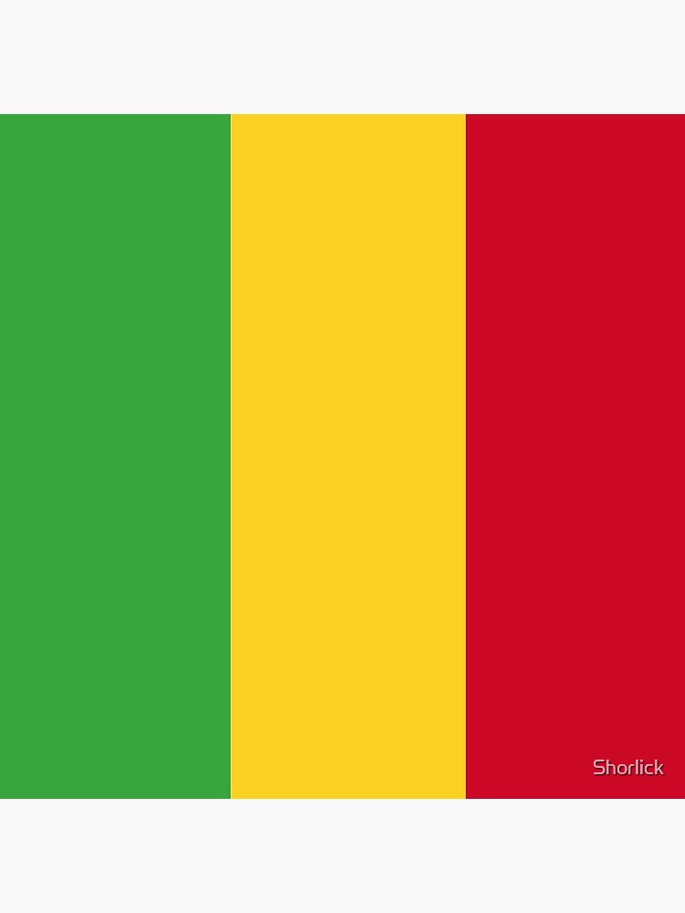Aperçu 3 sur 3. Coussin avec l'œuvre Drapeau du Mali créée et vendue par Shorlick.