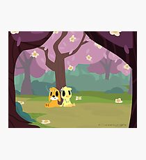 Daisy Chains Photographic Print