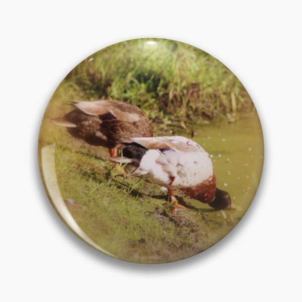 Item preview, ducks feeding at Trojan pond, near Goble, Oregon designed and sold by Dawna Morton.
