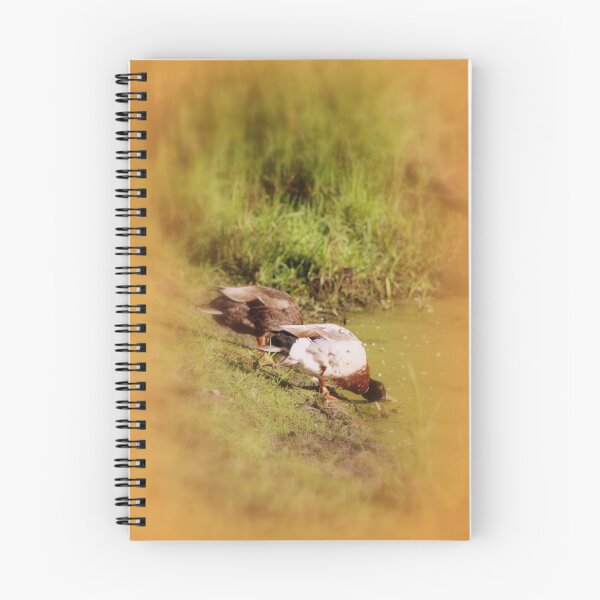 Item preview, ducks feeding at Trojan pond, near Goble, Oregon designed and sold by Dawna Morton.