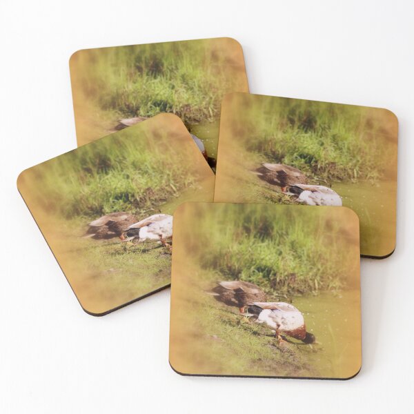 Item preview, ducks feeding at Trojan pond, near Goble, Oregon designed and sold by Dawna Morton.