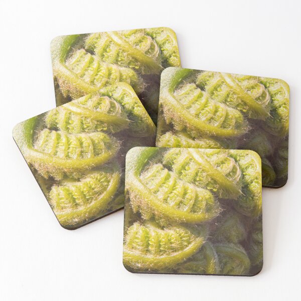 Item preview, Tree Fern Close-up designed and sold by Rob Cole Photography.