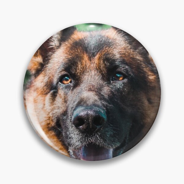 Item preview, german shepherd photo designed and sold by capturesbycass.