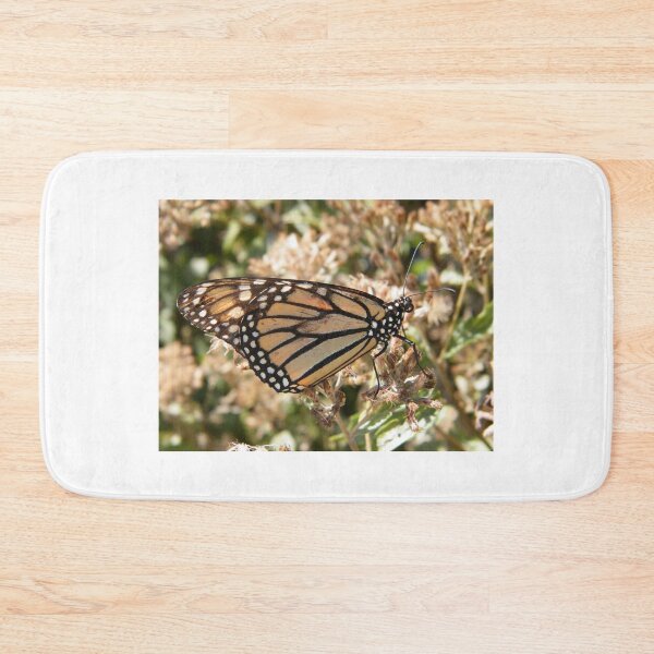 Item preview, Butterfly Close-Up, High Line, New York's Elevated Garden and Park designed and sold by lenspiro.