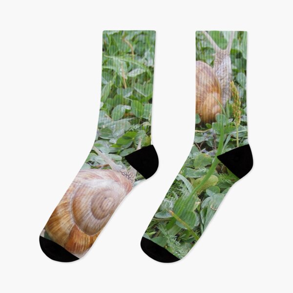 Item preview, caravan of snails. designed and sold by TatianaAn.