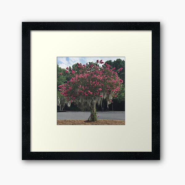 Item preview, Red Crepe Myrtle designed and sold by barnsis.