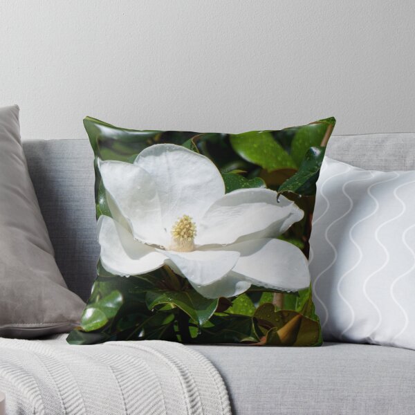 Item preview, Magnolia bloom after an early morning rain designed and sold by barnsis.