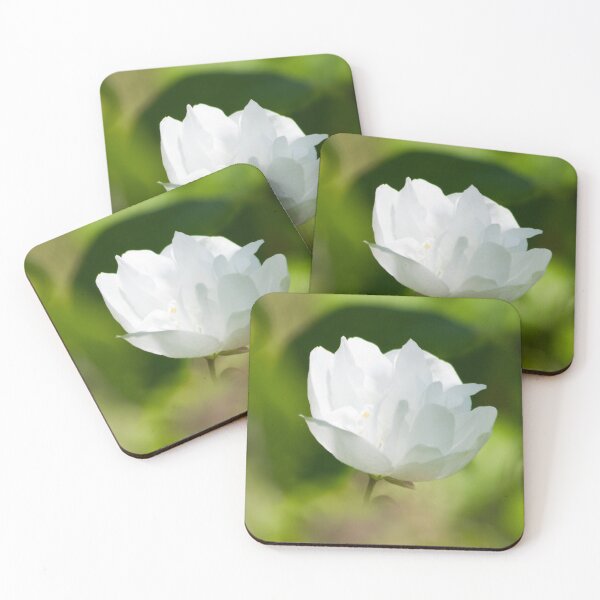 Item preview, Mock Orange closeup photo designed and sold by Latch Farm  Studios.