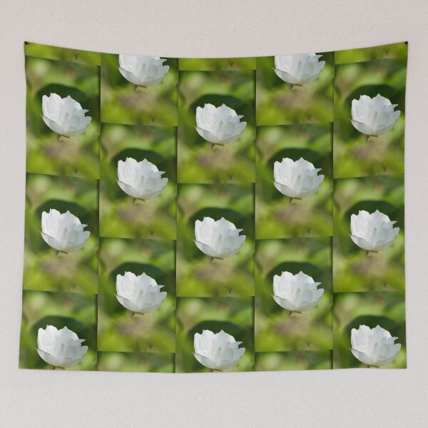 Item preview, Mock Orange closeup photo designed and sold by Latch Farm  Studios.