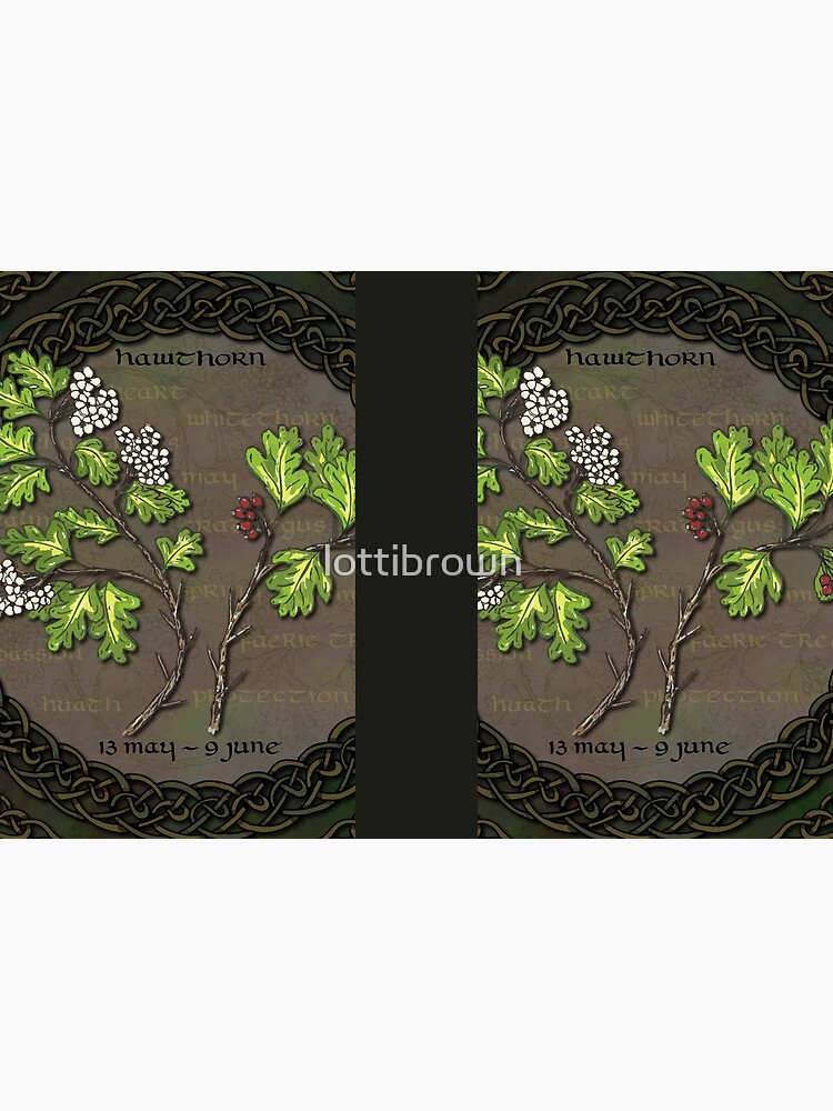 Celtic Tree Calendar - Hawthorn by lottibrown