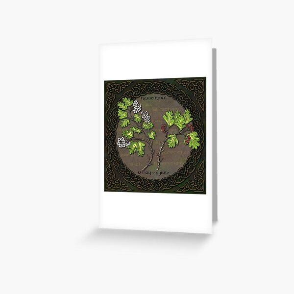 Celtic Tree Calendar - Hawthorn Greeting Card