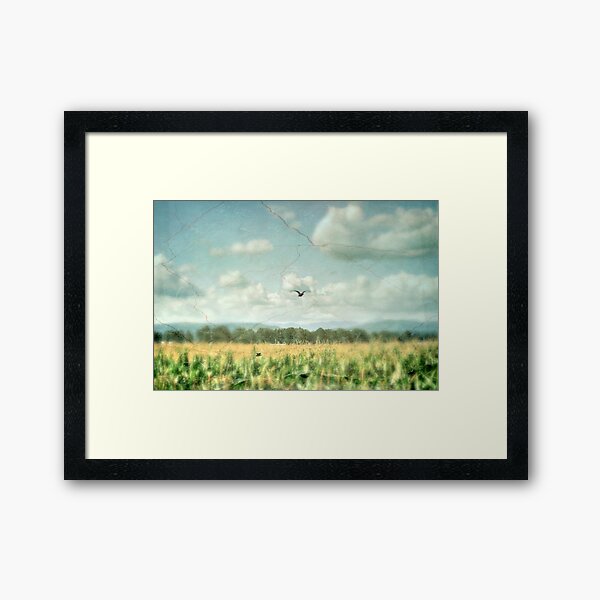 Summer Corn Framed Art Print