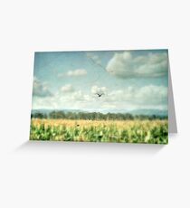 Summer Corn Greeting Card
