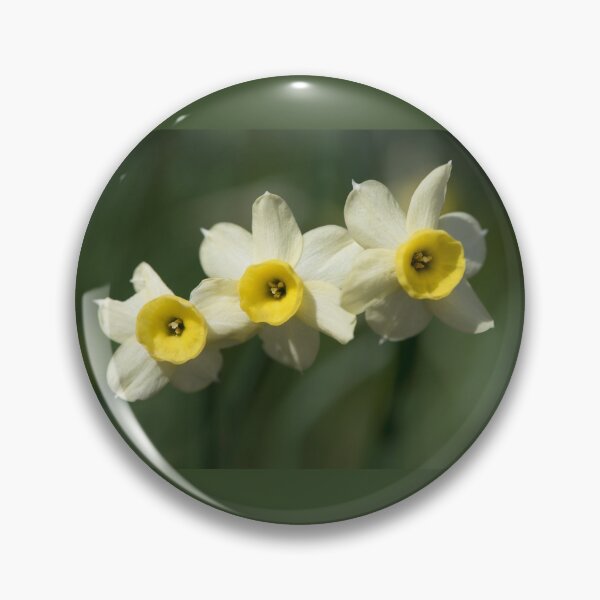 Item preview, Narcissi  designed and sold by Chris Monks.