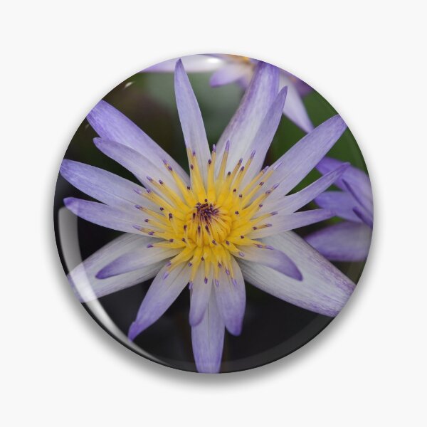 Item preview, Water Lily Flower - Kew Gardens, London designed and sold by Chris Monks.