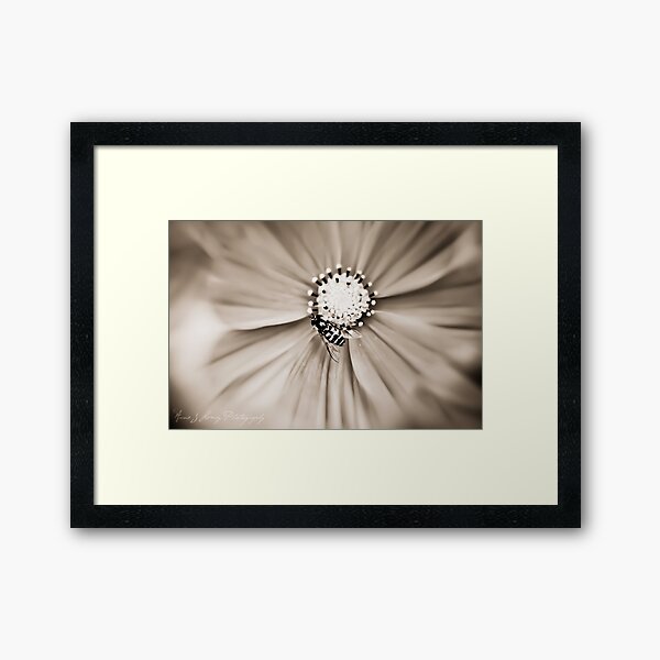 Hoverfly Framed Art Print