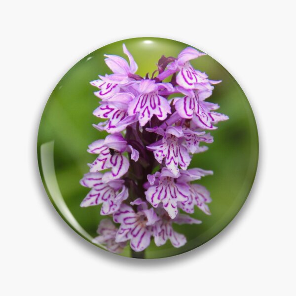 Item preview, Common spotted orchid designed and sold by Latch Farm  Studios.