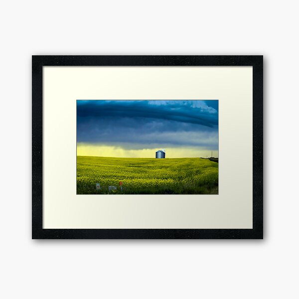 Alberta Framed Art Print