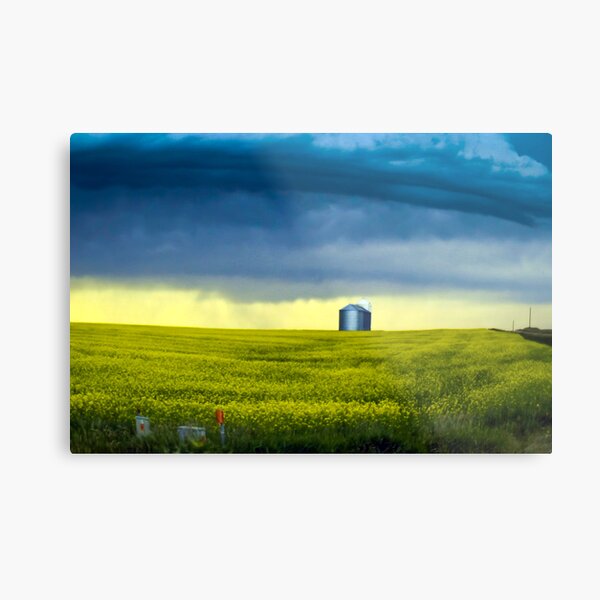 Alberta Metal Print