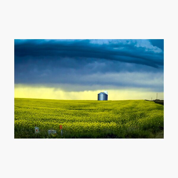 Alberta Photographic Print