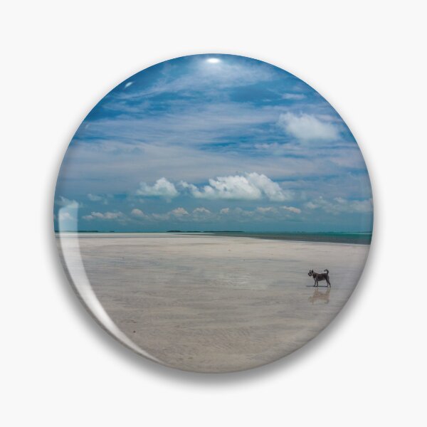 Item preview, Buddy in the Great White Heron NWR designed and sold by johnlackphotos.