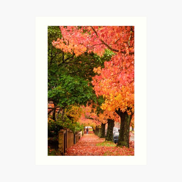 Blackheath Autumn Art Print