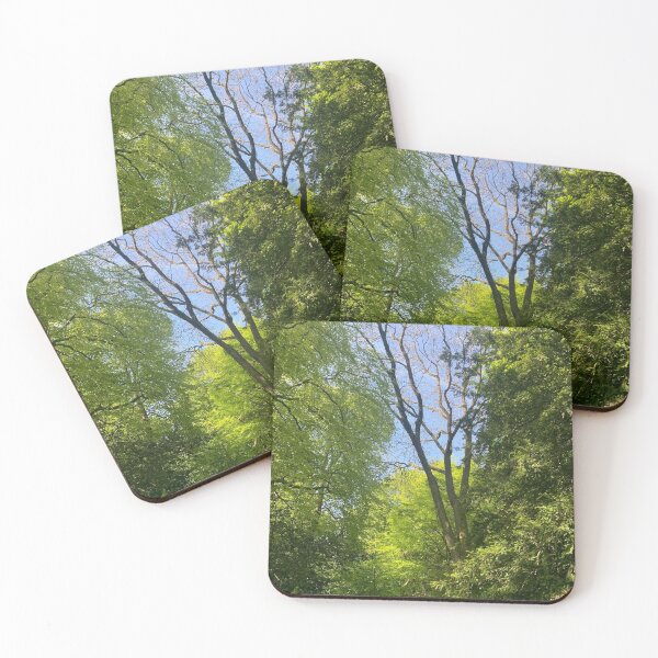 Item preview, Woods  designed and sold by b-mcn.