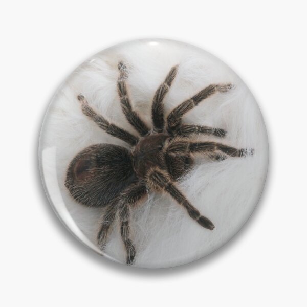 Item preview, Tarantula on Fur designed and sold by HSPhotography.
