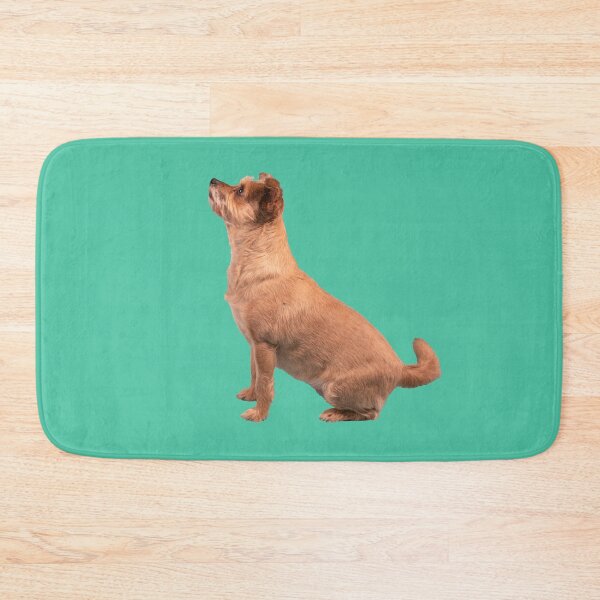 Item preview, Full body profile photograph of a cute brown scruffy wired haired terrier dog breed looking up  designed and sold by g2rdsmith.