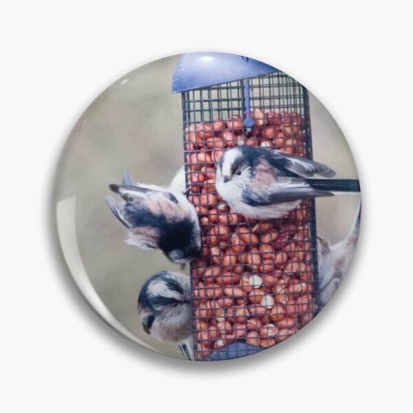 Item preview, Long tailed tits feeding on peanuts in Scotland designed and sold by Latch Farm  Studios.