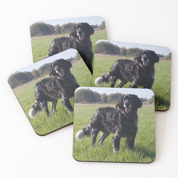 Item preview, Conner - Large Munsterlander Gundog - If you would like to see your dog or pet on these products get in touch and I will happily look at doing that for you.  designed and sold by Latch Farm  Studios.