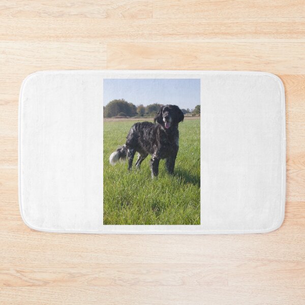 Item preview, Conner - Large Munsterlander Gundog - If you would like to see your dog or pet on these products get in touch and I will happily look at doing that for you.  designed and sold by Latch Farm  Studios.