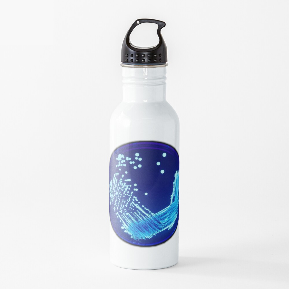 Petri Water Bottle