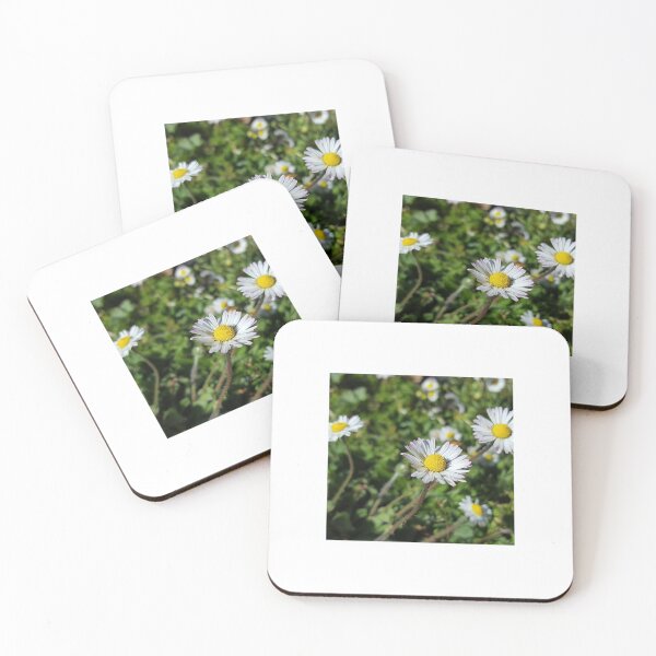 Item preview, Beautiful daisy  designed and sold by -ouij.
