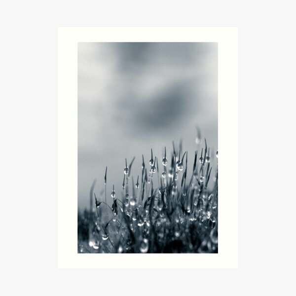 Drops of nature Art Print