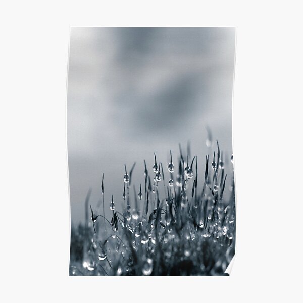 Drops of nature Poster