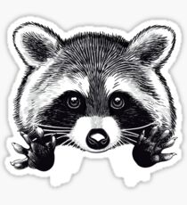 Raccoon Stickers | Redbubble