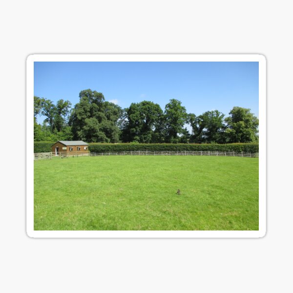 Merch #73 -- Field - Shot 3 (Hadrian's Wall) Sticker