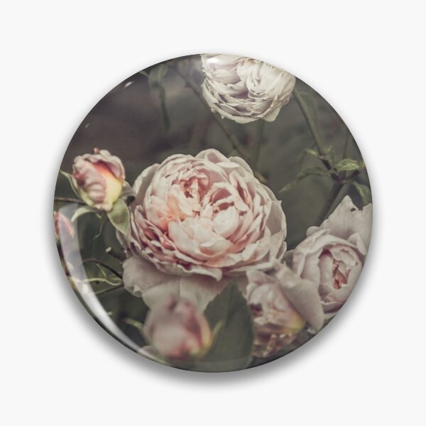 Item preview, Roses in Bloom designed and sold by Redtara.