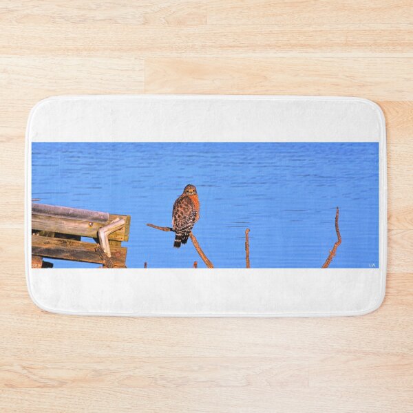 Item preview, Red Shouldered Hawk On Lake Murray SC designed and sold by LisaWootenPhoto.