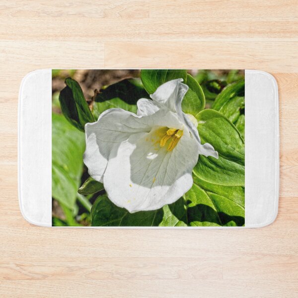 Item preview, Great White Trillium designed and sold by StevenRalserPhoto.