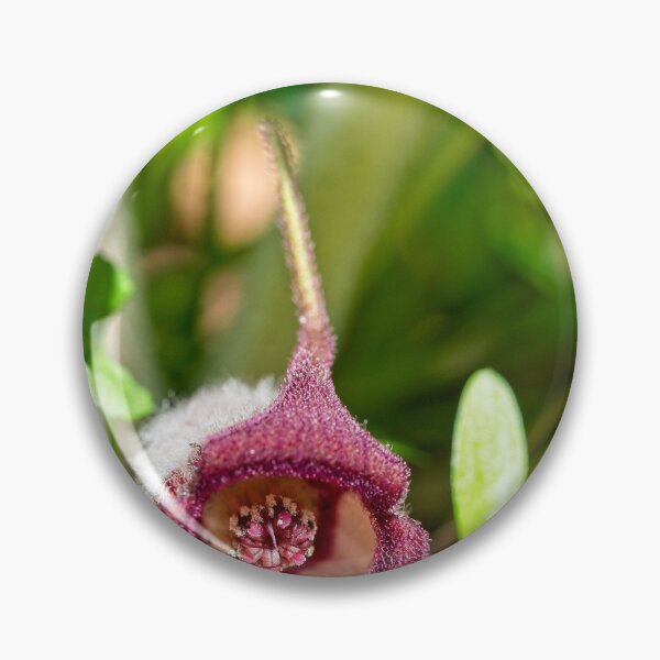 Item preview, Flor de jengibre silvestre designed and sold by StevenRalserPhoto.