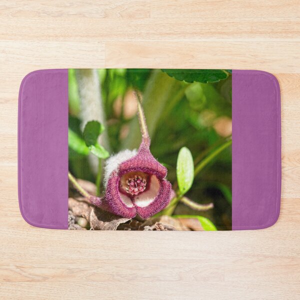 Item preview, Wild Ginger Flower designed and sold by StevenRalserPhoto.