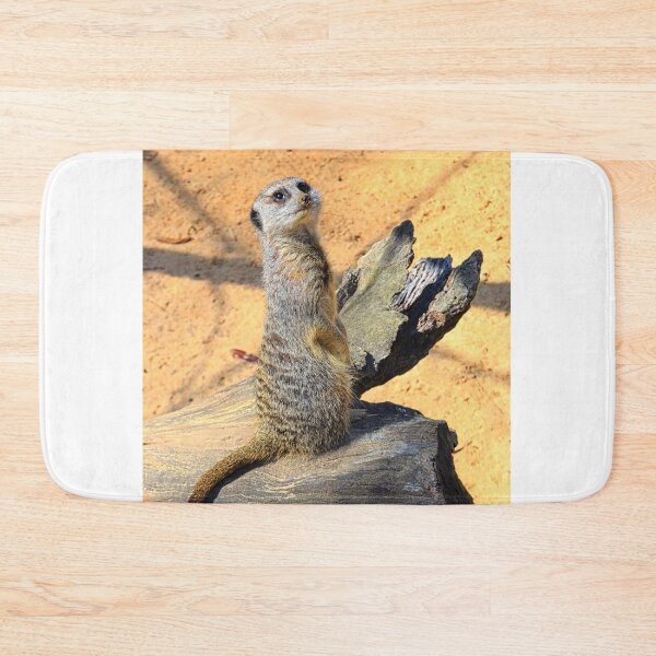 Item preview, I'm Ready For My Photo Shoot designed and sold by LisaWootenPhoto.