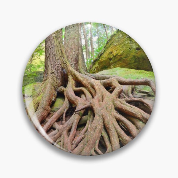 Item preview, ROOTED In GOD'S Word designed and sold by LisaWootenPhoto.