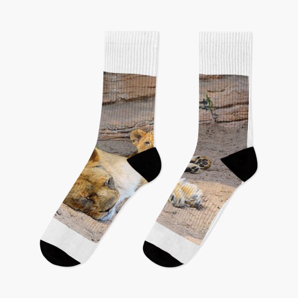 Item preview, Lioness And Cubs designed and sold by LisaWootenPhoto.